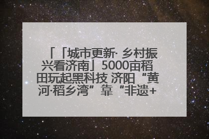 「城市更新· 乡村振兴看济南」5000亩稻田玩起黑科技 济阳“黄河·稻乡湾”靠“非遗+露营”火出圈